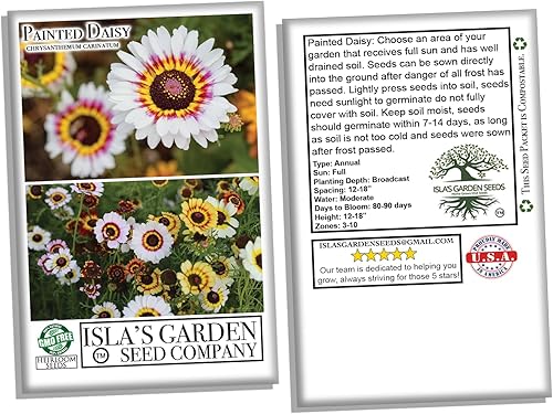 Miniatura 4 de Semillas de flores Painted Daisy para plantar más de 500 semillas de flores por paquete semillas de jardín Islas Garden Seeds semillas sin OMG y