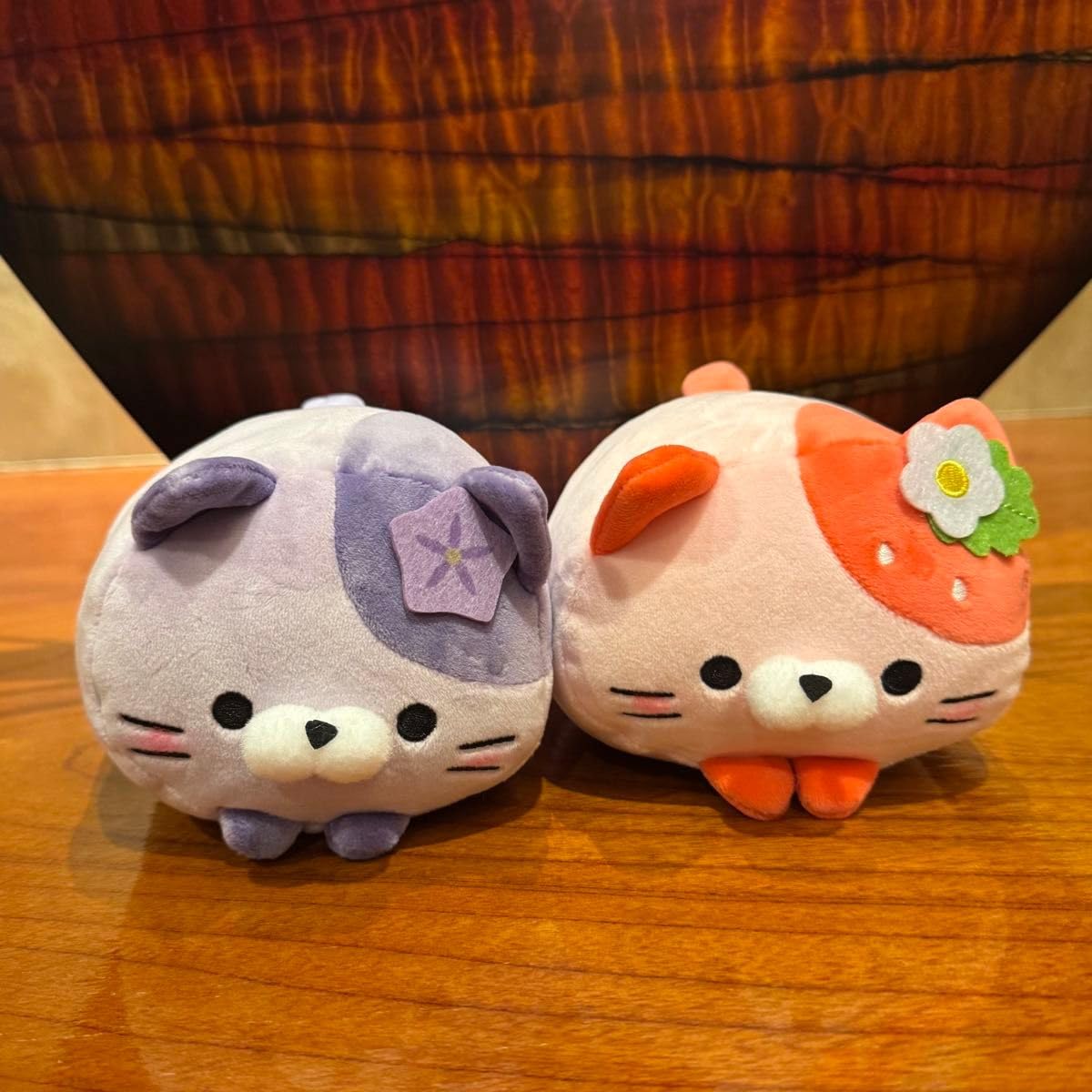 もちふわ！ ころころにゃんこ 栃木限定 茨城限定 4匹セット もちふわ ころころにゃんこ 茨城限定 こきあにゃん みとにゃん