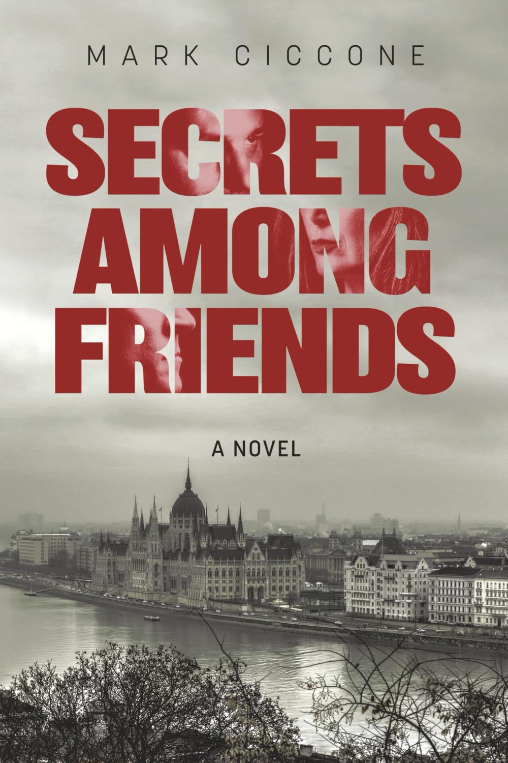 Secrets Among Friends