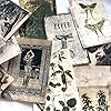 Vintage Scrapbook Paper Junk Journal Supplies,Craft Paper Kits Collage Antique Paper for Grunge Cottagecore Room Decor Aesthetic Art Shooting Background,Skeleton Gothic Creusu Horror Art Print (C) #2