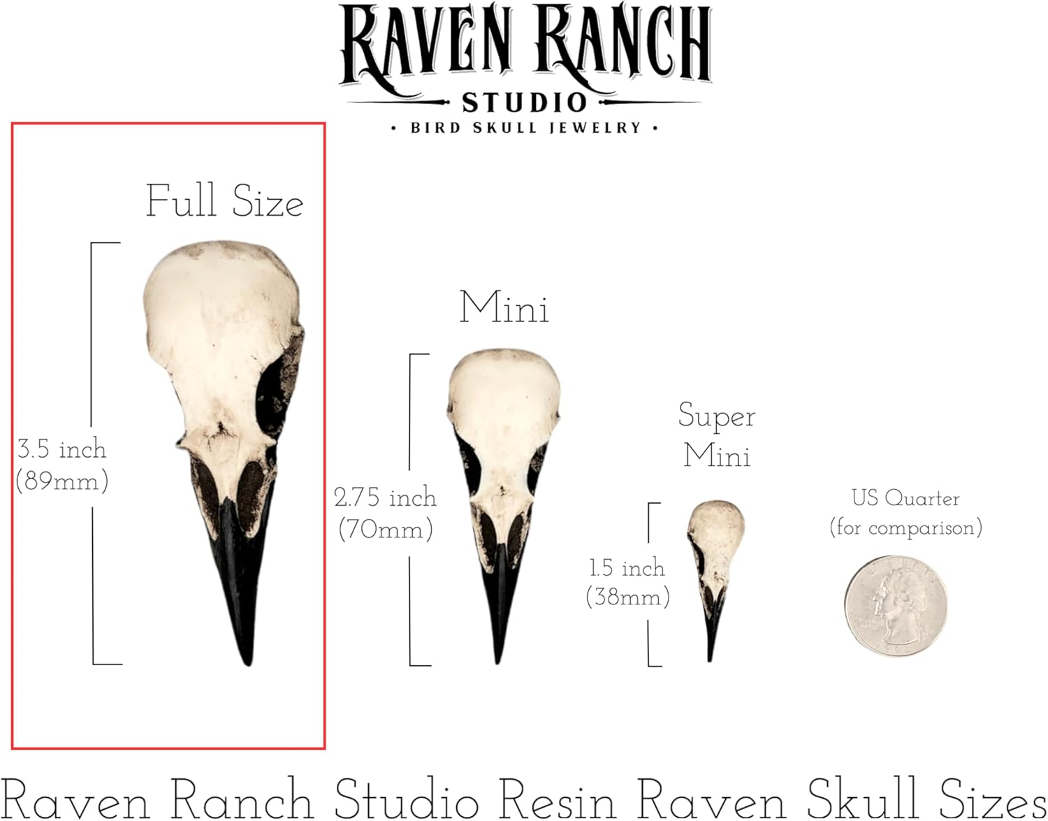 Raven Skull Pendant Viking Jewelry Gift - Resin Bird Skull Necklace - Image 7