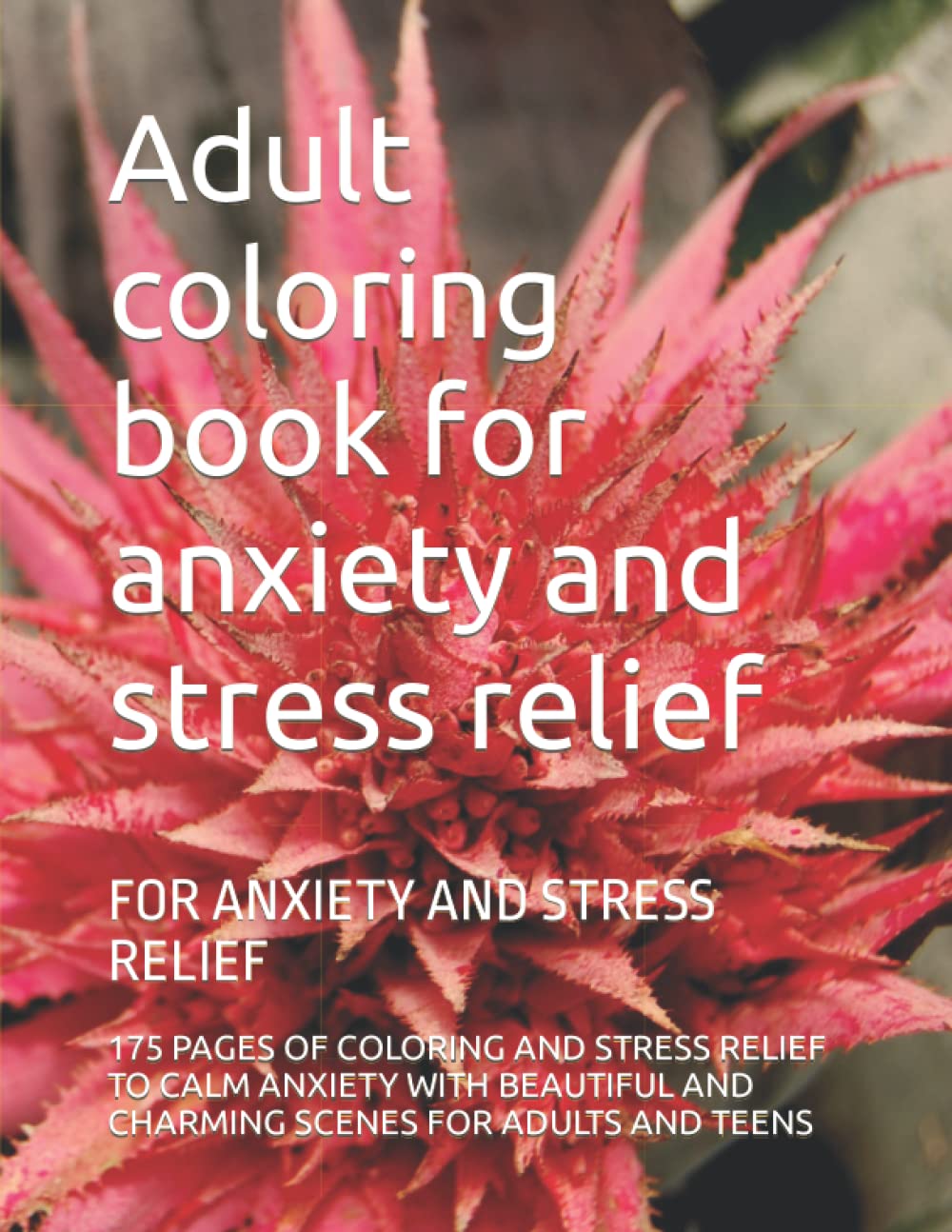 Livre de coloriage adulte anti-stress avec motifs relaxants