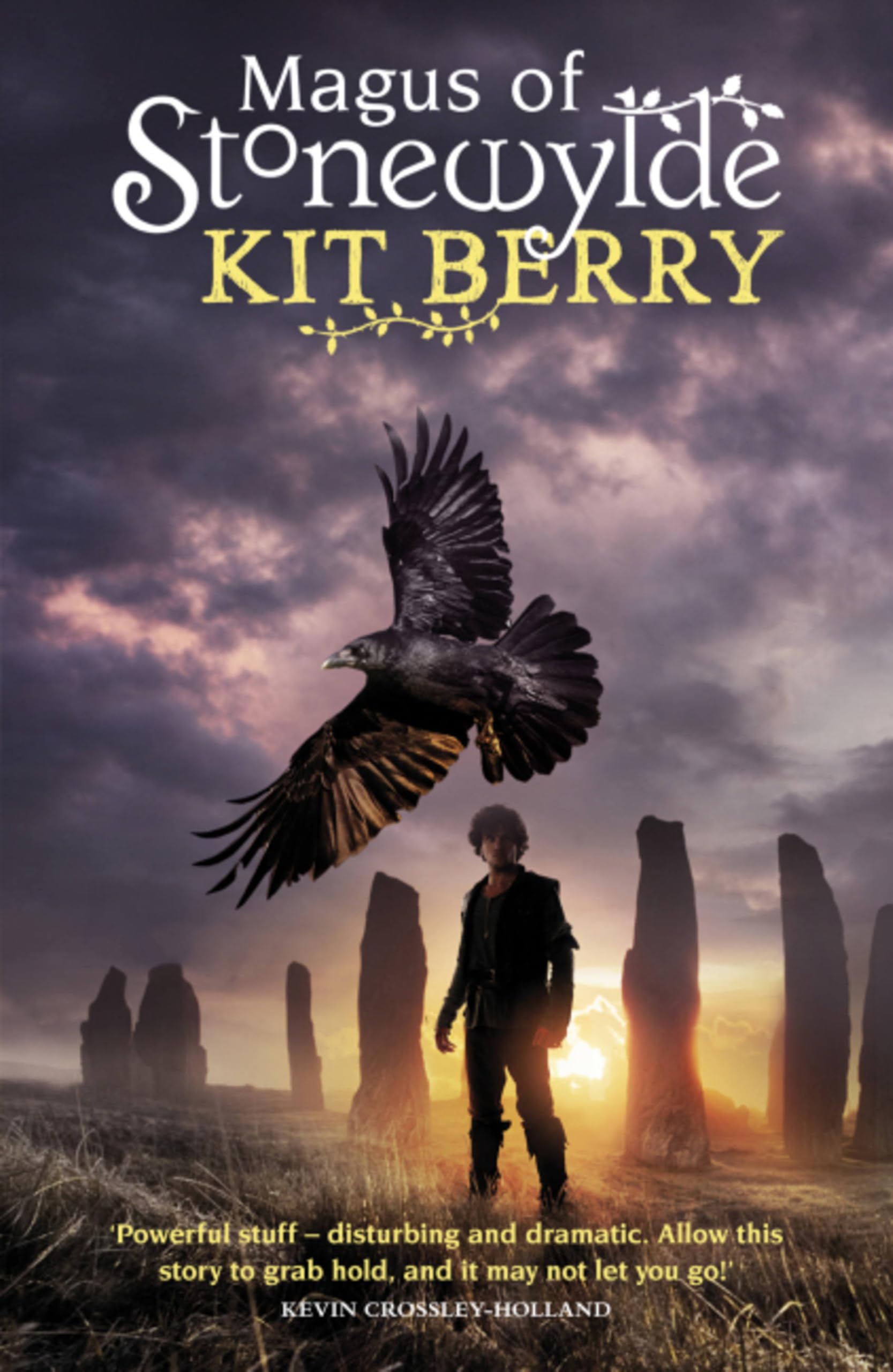 Magus of Stonewylde by Kit Berry PAPERBACK 9780575098824