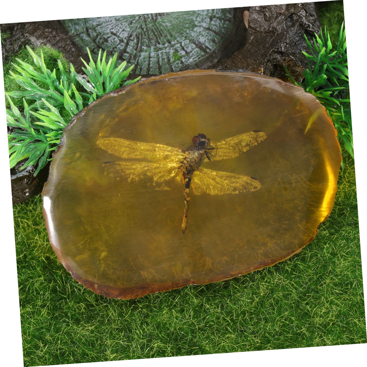 GLEAVI 1 Pc Ciondolo fossile di Pietra di Pendente Esemplare di Ambra di Pietre fossile di di Ornamento in Pietra ambrata nellambra Domestico Accessori Geco Esemplare di Farfalla Campione
