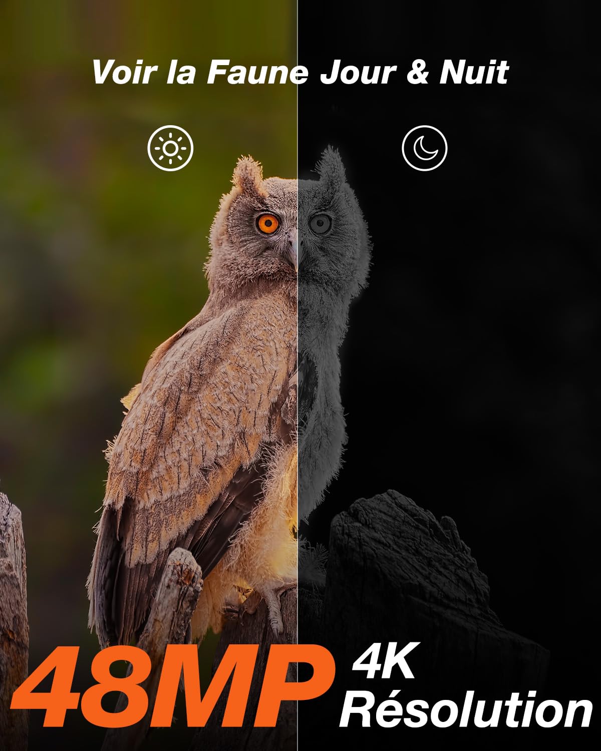 iZEEKER Caméra de Chasse Solaire 4K 48MP à 30fps avec 2,0’’ Écran LCD Intégré, 2600mAh Batterie Pas de WiFi, Camera Chasse avec Détection de Mouvement PIR et Vision Nocturne IR pour Observer la Faune