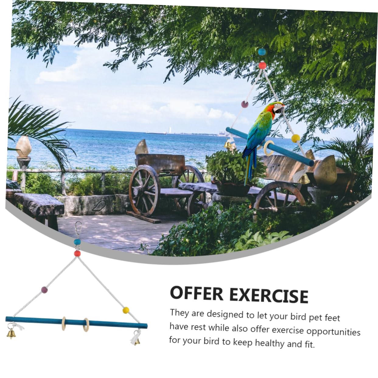 VICASKY Parrot Swing with Bell Natural Wood Bird Stand for Parrots Birds Enhances Playtime Reduces Boredom Random Color