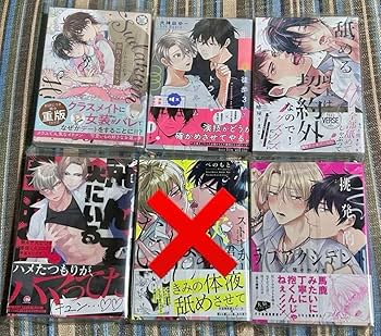 Amazon.co.jp: 商業BL ボーイズラブ コミックス 11冊 売り