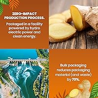 Vista 4 de Cederberg Tea Company Té de hierbas orgánicas Paquete de té único de jengibre y manzanilla 200 bolsas de té