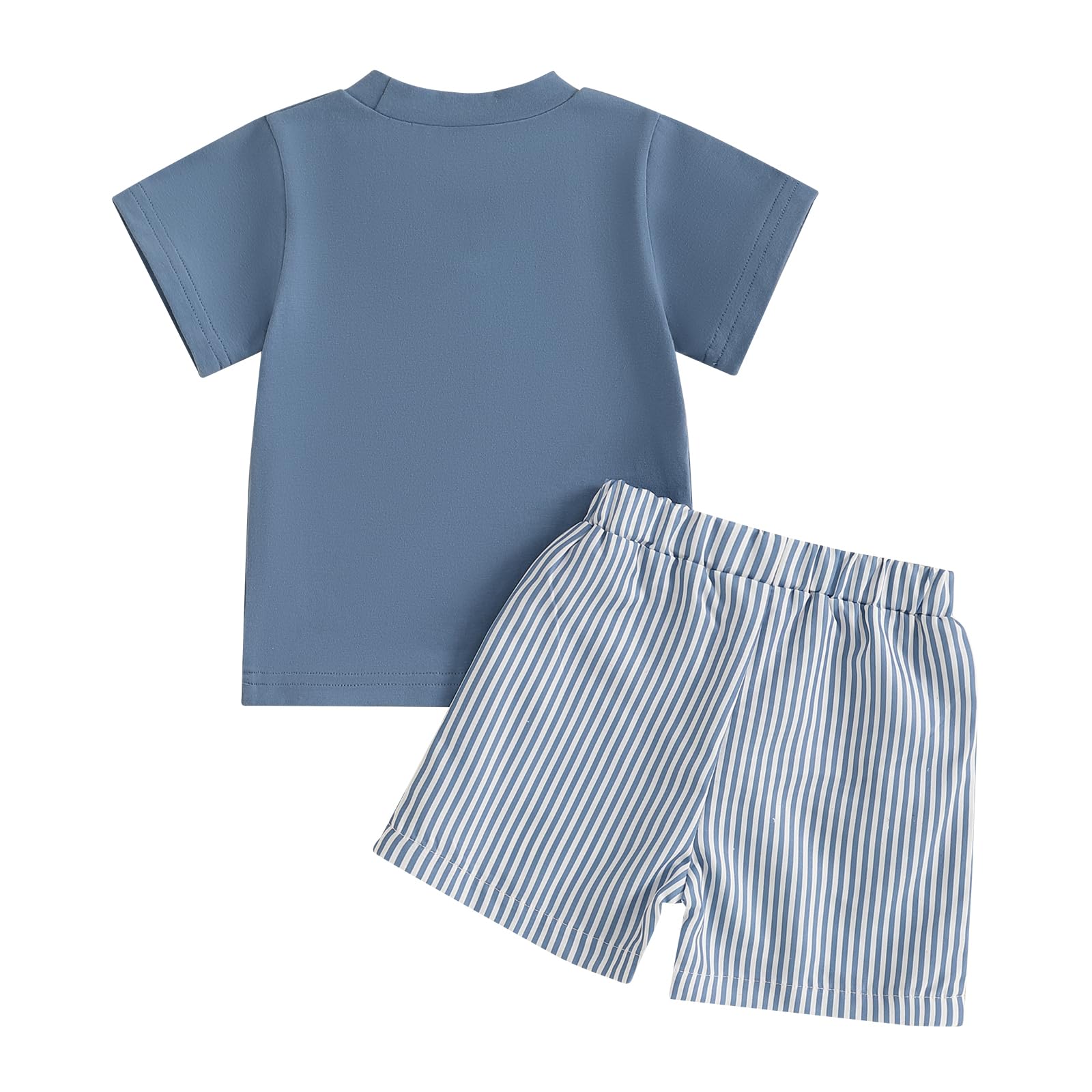 Licupiee Toddler Boys Shark Outfits Sea Animal Embroidery Short Sleeve Shirt and Striped Shorts Sets 2Pcs Summer Clothes Set (Blue Turtle, 2-3T)