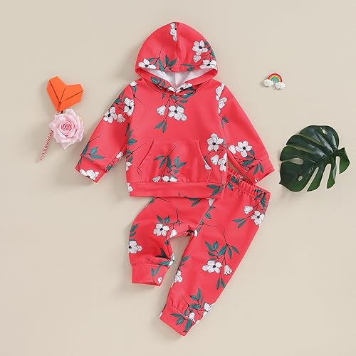 Miniatura 2 de Karwuiio Conjunto de 2 piezas para bebé recién nacido, sudadera con capucha y pantalones, ropa de otoño e invierno