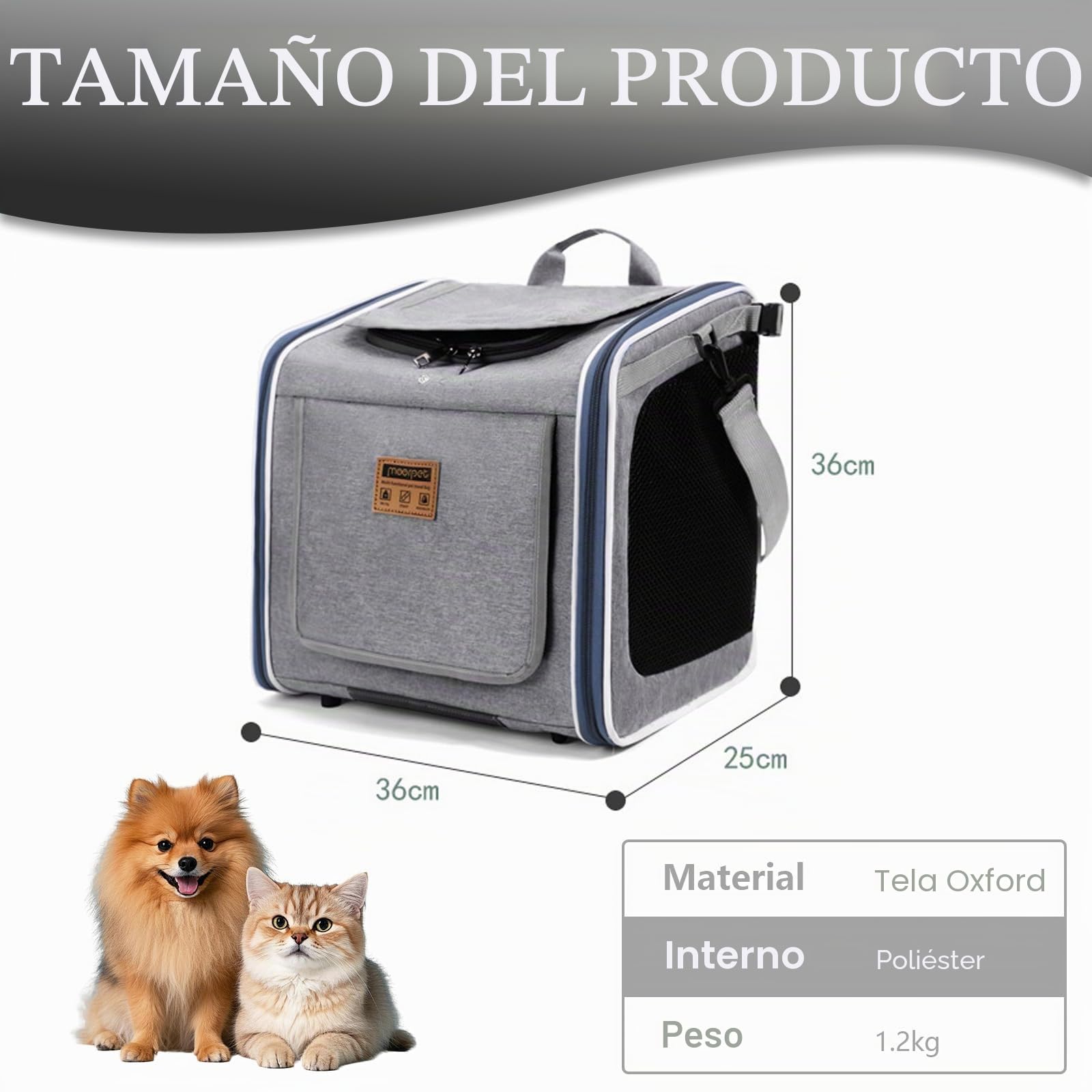 Cesta de Bicicleta para Perro, Canasta de Bicicleta Plegable con Ventanas de Malla Mochila para Mascotas para Perros y Gatos hasta 10KG