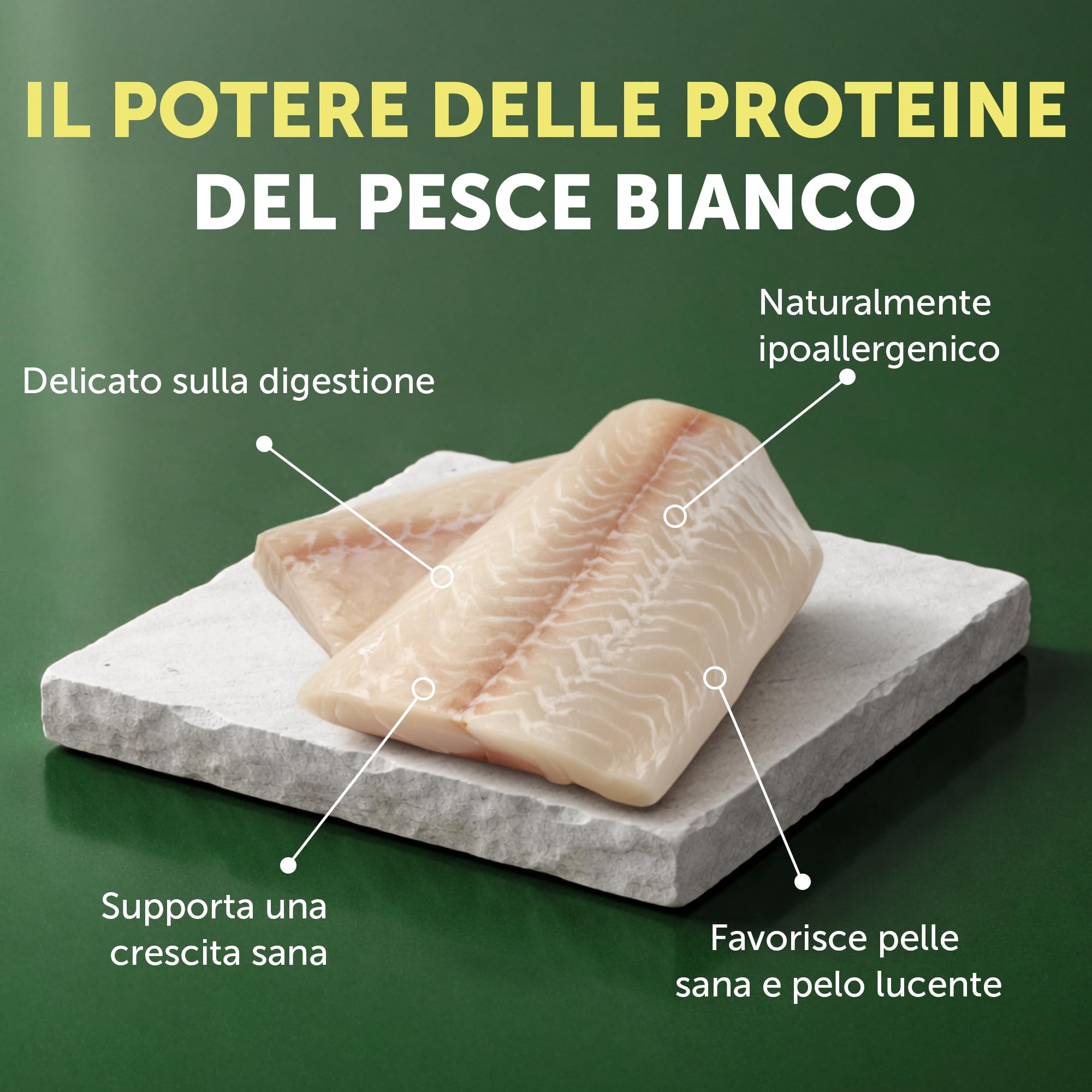 Nature’s Protection Superior Care Crocchette Cani ad Alto Contenuto Proteico - Cibo per Cani Junior Bianchi Ipoallergenico con Pesce Bianco - Omega 3 e 6 - Contro le Macchie da Lacrimazione (1,5 kg)