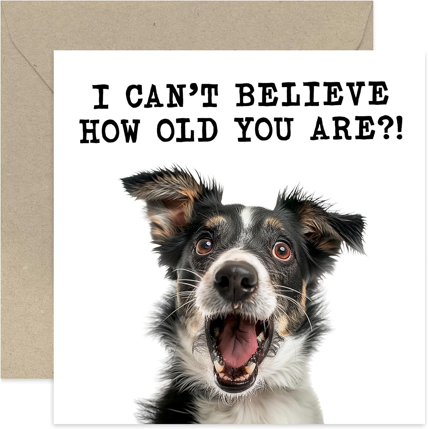 Funny Birthday Card By Bewilderbeest - Dog Years – Comedy Card Company - View #3