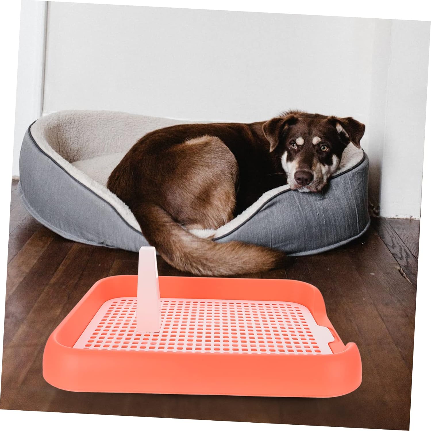 Mesh Dog Toilet with Non Slip Design PP Material Puppy Indoor Potty Tray for Small to Dogs Lightweight and Portable Pet Training Toilet with Buckle Handle for Easy Movement