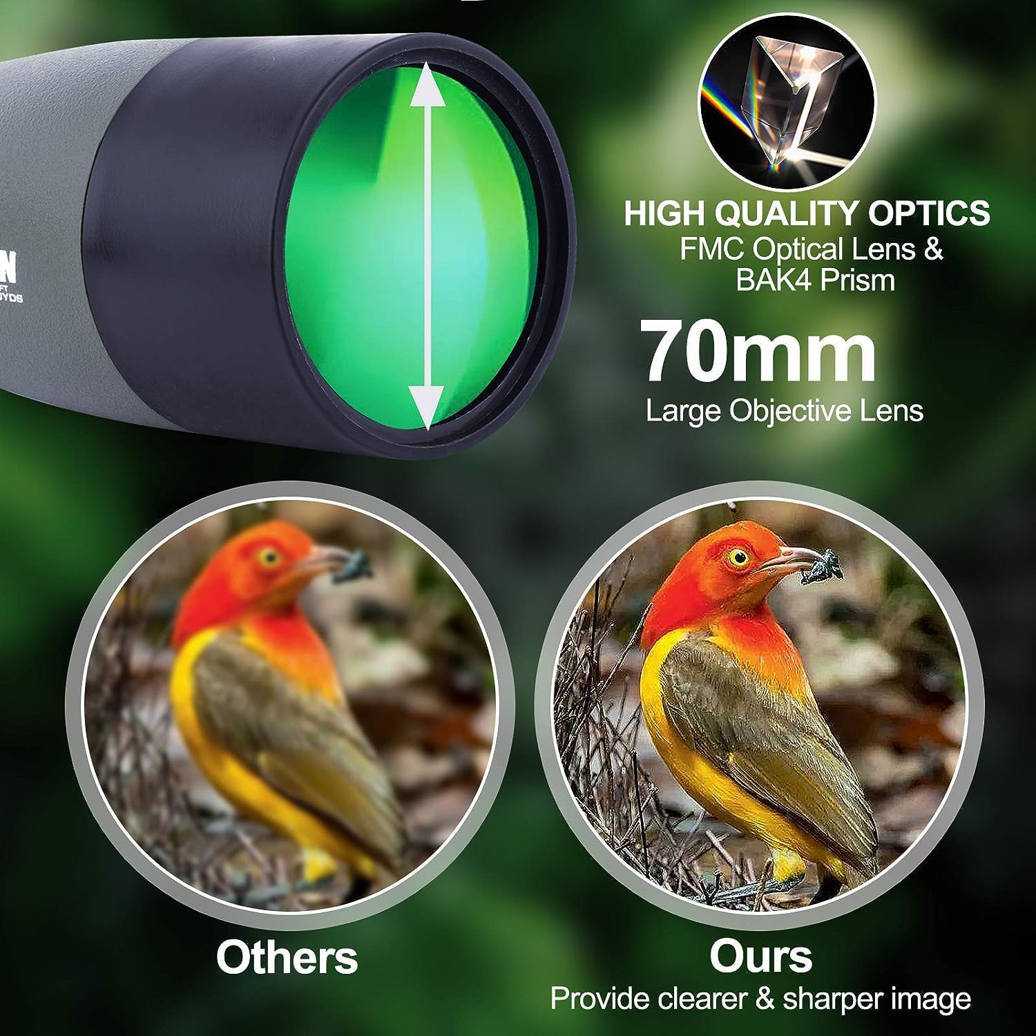 25-75x70 Telescopio Terrestre con Trípode, Bolsa de Transporte y Adaptador de Teléfono Inteligente,para Turismo Safari Observación de Estrellas Tiro con Arco Camping Paisaje de Vida Silvestre