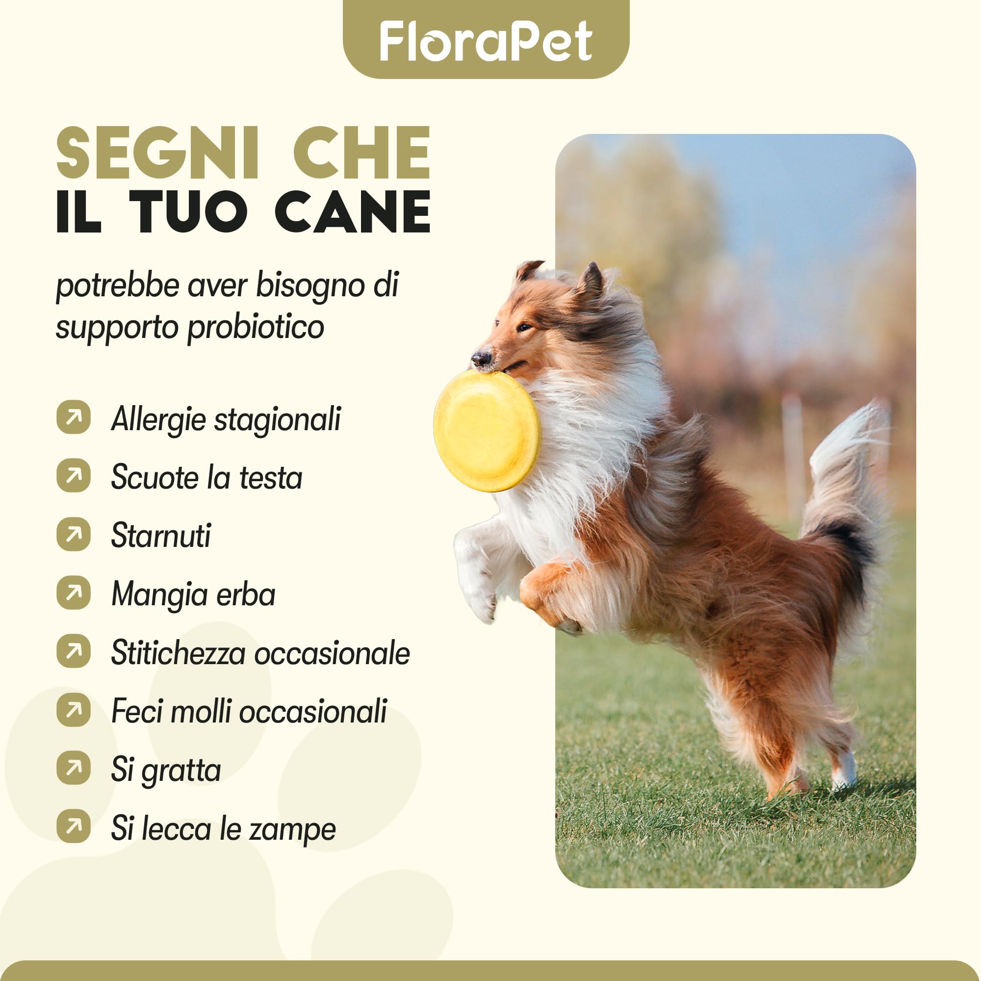 FloraPet Probiotico per cani, Fermenti lattici cane, combatte diarrea cane, Salute intestino, Probiotico digestivo, prurito cane con Prebiotici naturali 60 compresse Made In Italy