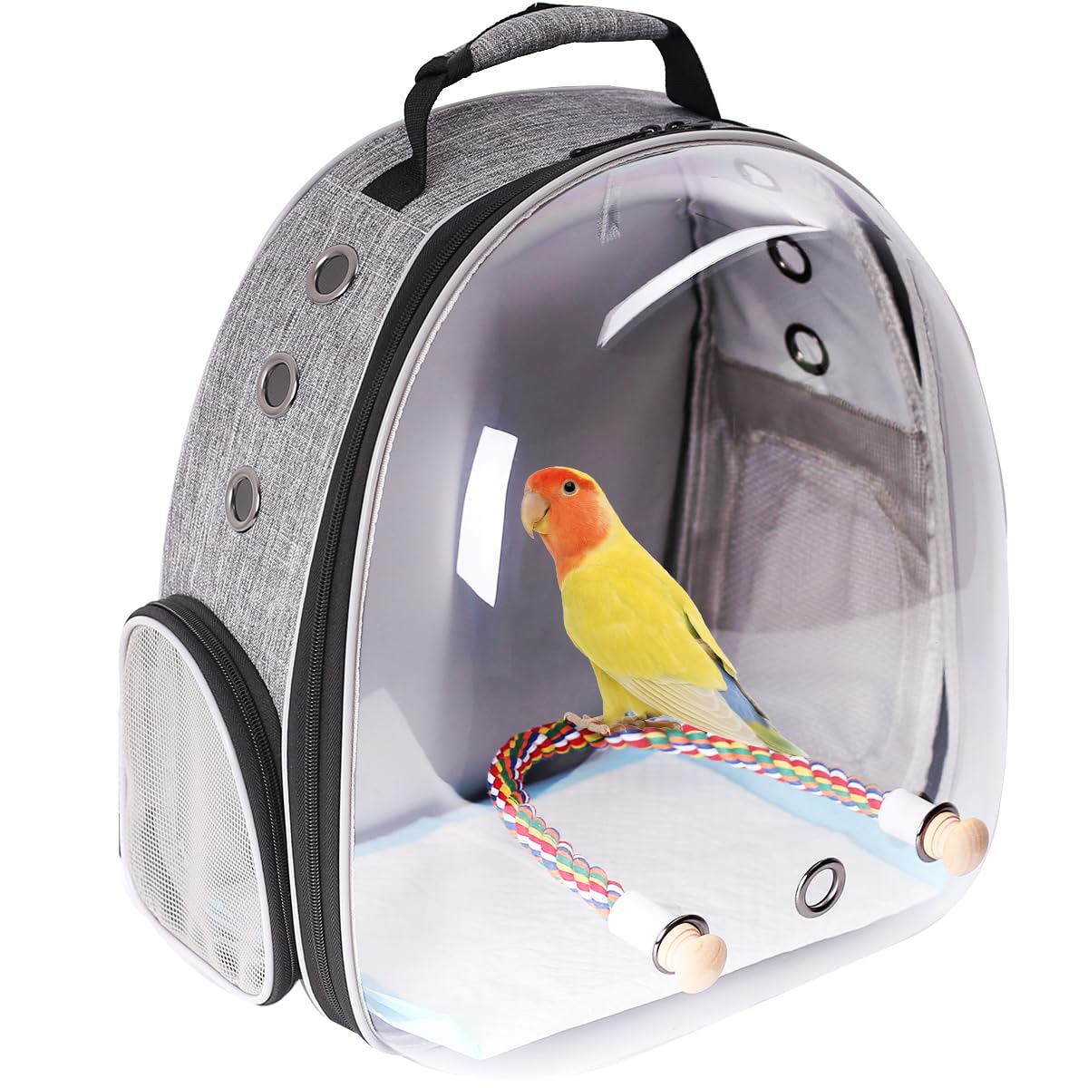 Mochila transportadora de aves Interfashioner®, mochila transportadora de pájaros de burbujas con almohadilla absorbente y percha de pie (Gris Pluma)