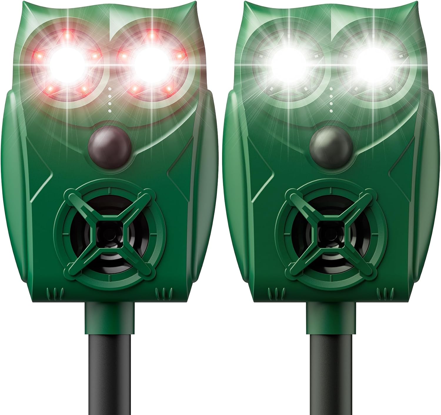 Auction Deals from NKY