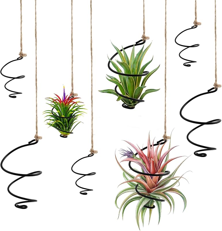 12Pcs Hanging Air Plant Holder w/Ropes, 2-Size Plant Hanging Display | Adjustable Air Plant Hanger,Rust-Resistant Iron,2m Jute ropes, for Tillandsia, Succulents, Home & Office Decor