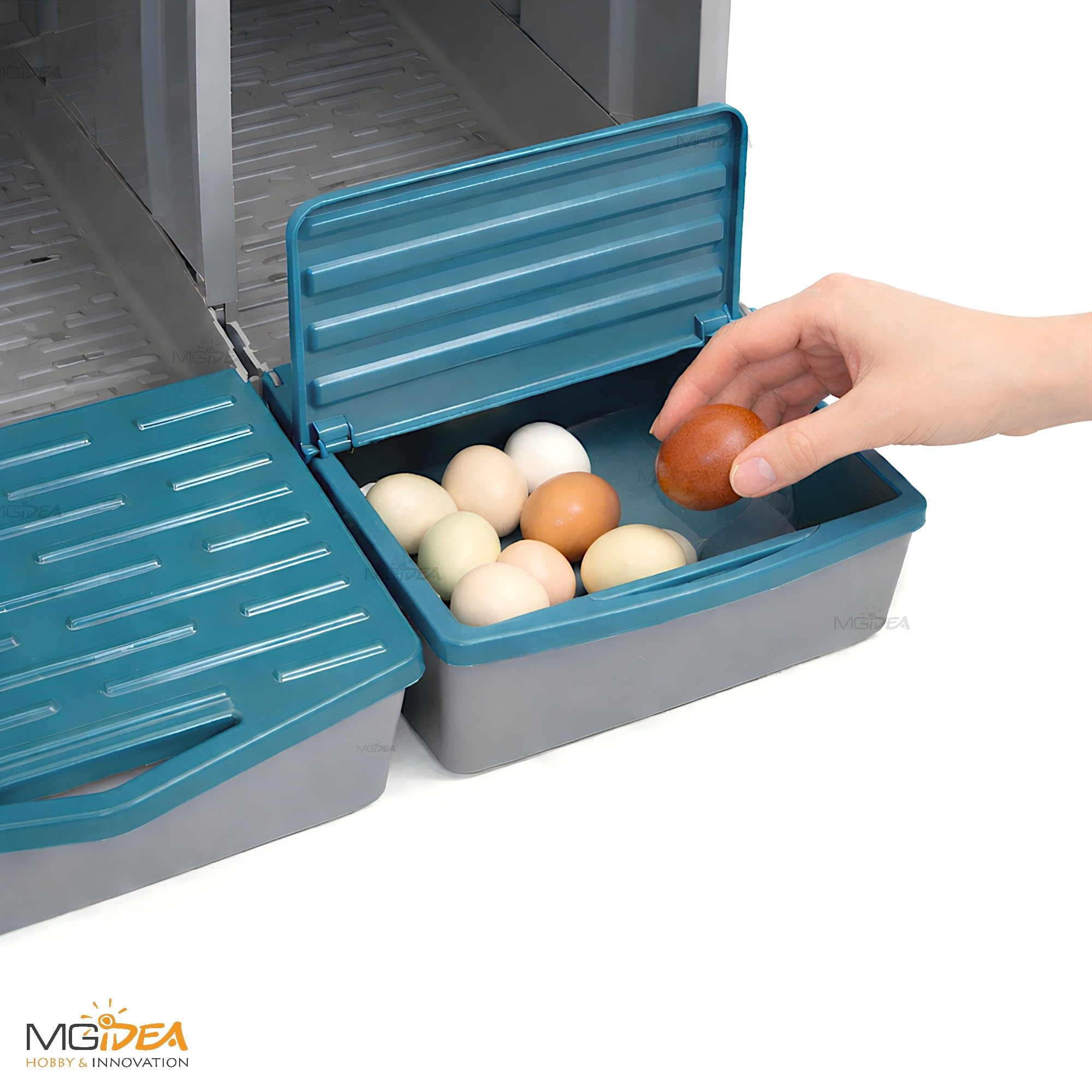NIDO COVA UOVA GALLINE 3 POSTI OVAIOLE CHIOCCIA AUTOMATICA CASSETTO STRUTTURA RESISTENTE POLLAIO ALLEVAMENTO FATTORIA