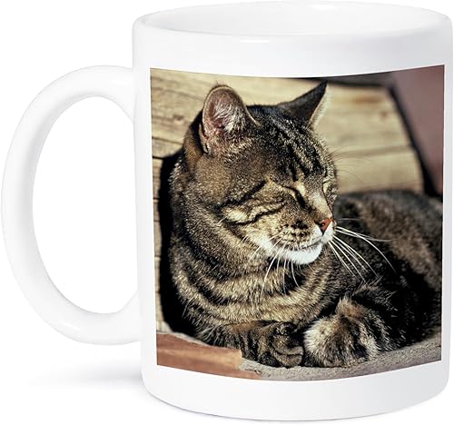 3dRose Utah, Capitol Reef NP Sleeping Tabby cat-US45 RER0114-Ric Ergenbright - Taza de cerámica, 11 onzas, color blanco