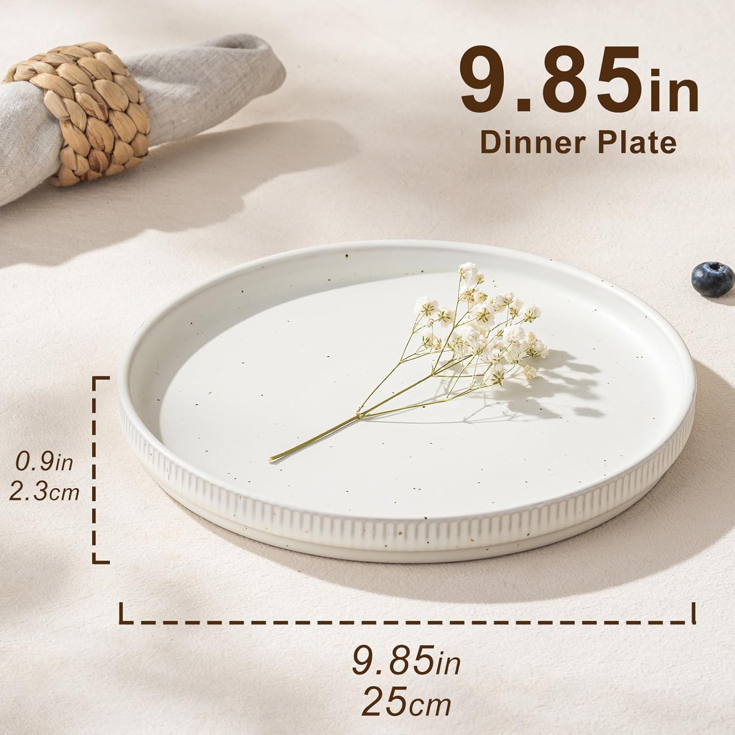 Ceramic Dinner Plates Set 4 Piece 9.8 Inch Plates with Raised Rim, Microwave & Dishwasher Safe, Speckled White Tableware