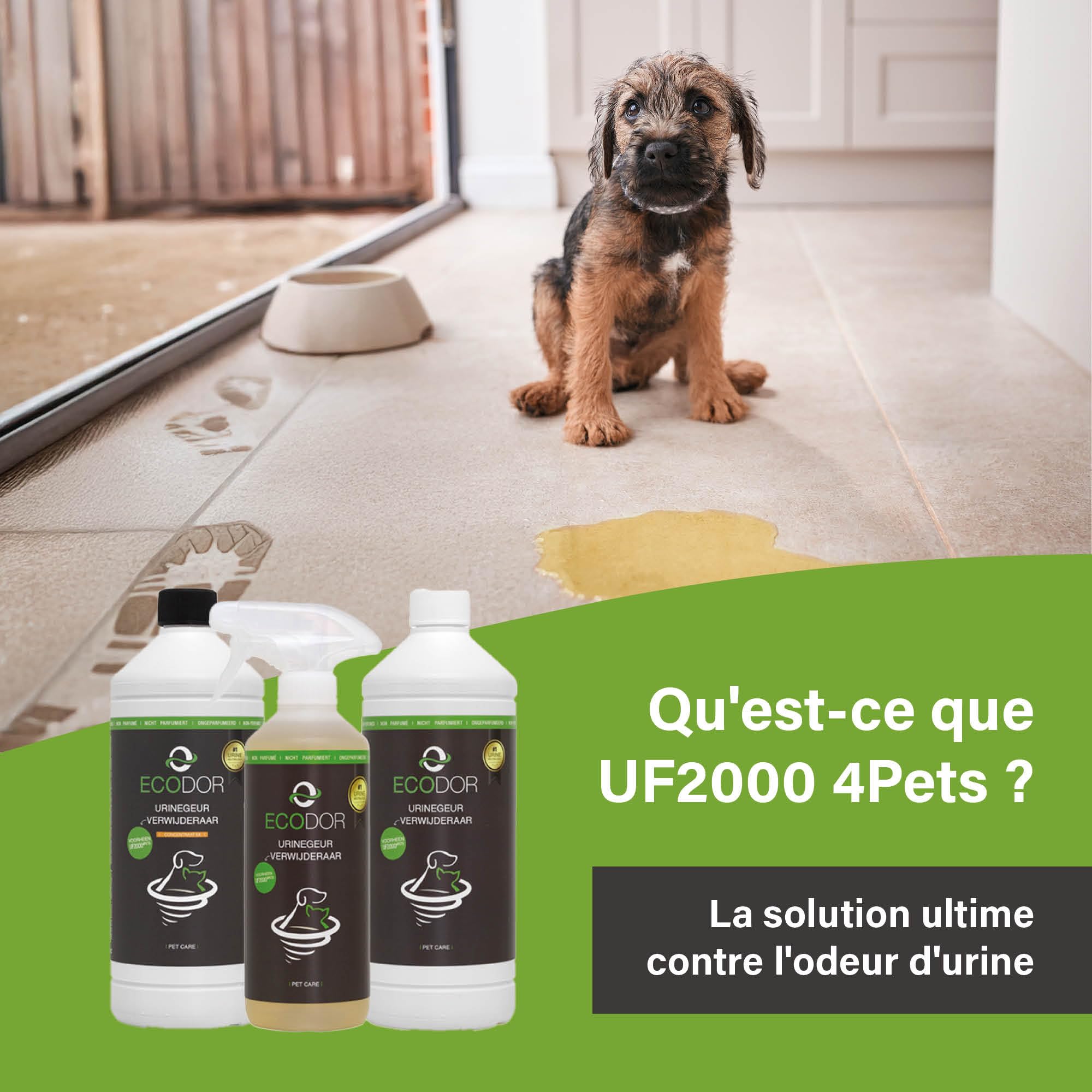UF2000 4Pets Éliminateur d'Odeur d'Urine 2500ml | Recharge | Concentré 1 sur 5 | sans Parfum | 100% Biologique | Utilisation Polyvalente | Élimine Les Odeurs | Chiens, Chats et Petits Animaux