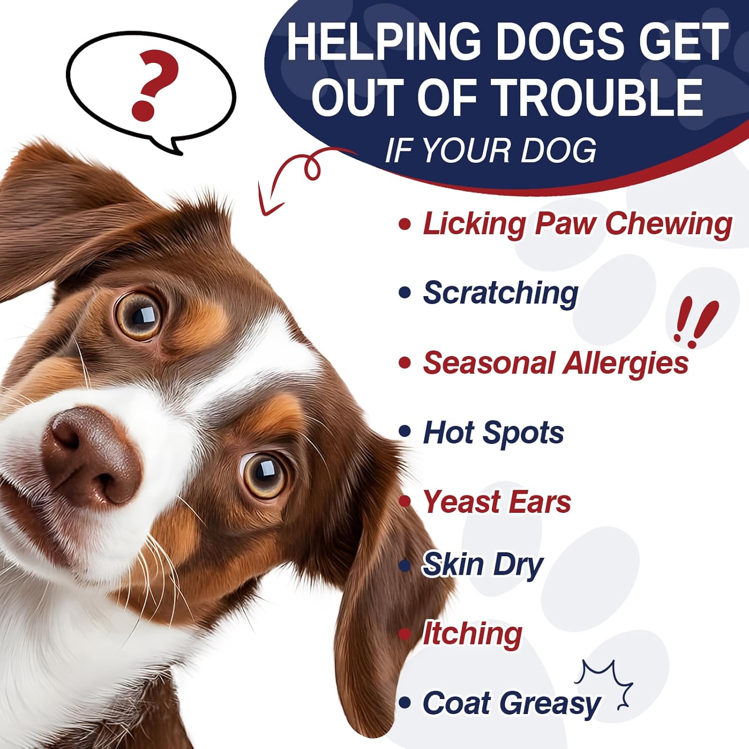Allergy Relief Chews for Dogs 200 Treats Dog Seasonal Allergy and Immune Bites Dog Itching Skin Anti Itch Licking Paws Treatment Itchy Skin Relief Allergies Support Probiotic Chew Supplement for Dogs
