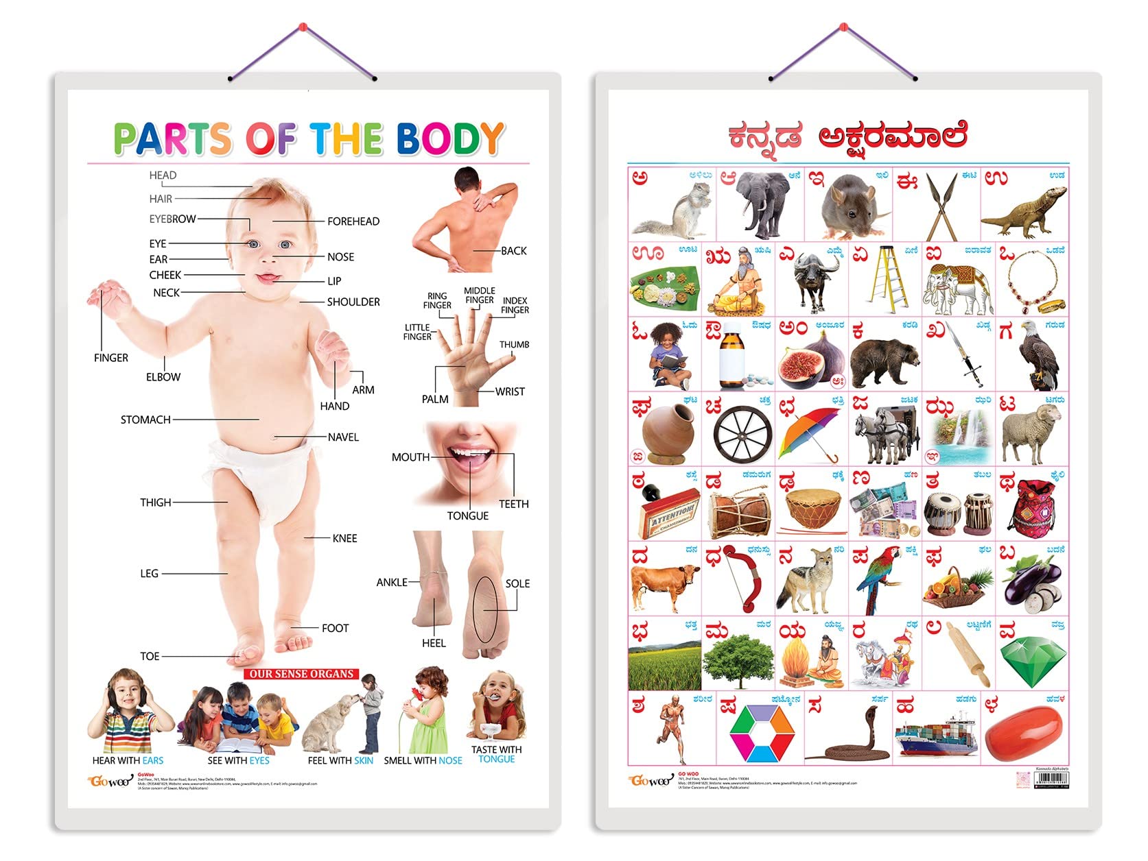 See full amazon price history chart for GO WOO Combo of 2 Parts of the Body and Kannada Alphabet Educational Posters for Preschool Kids Classroom Study | Learning- Charts for Kids Learning (20"X30" Inches) GO WOO Combo of 2 Parts of the Body and Kannada Alphabet Educational Posters for Preschool Kids Classroom Study | Learning- Charts for Kids Learning (20"X30" Inches) (B0C28KL84P) Amazon Price History, Amazon Price Tracker