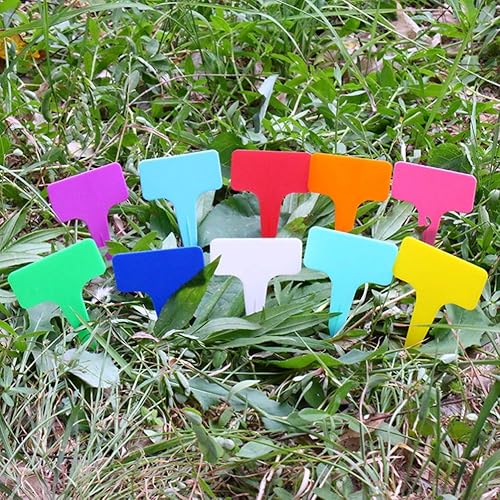 Miniatura 4 de YARNOW 200 piezas de plantas vegetales, Suculentas, plantas suculentas, marcadores de jardín, plantas de casa, flores, plantas de bricolaje, macetas