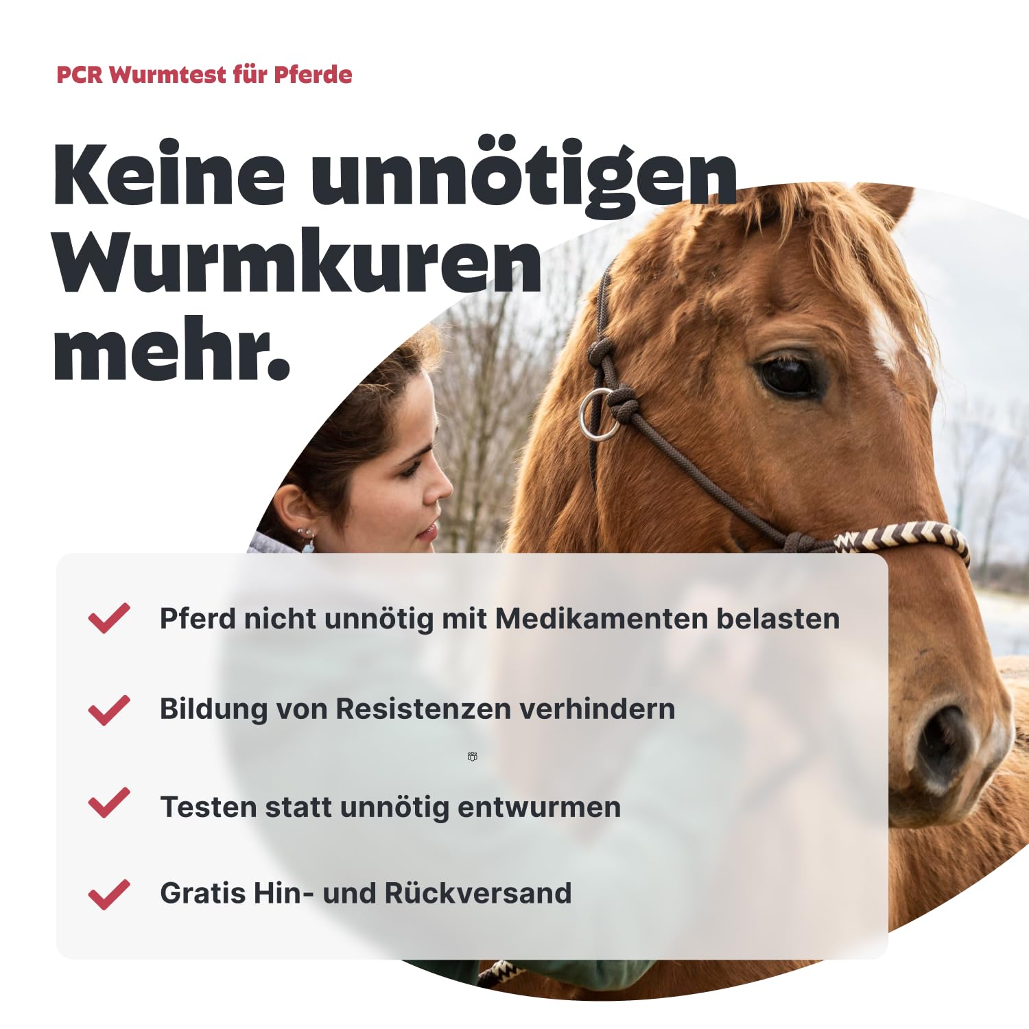 PEZZ PCR Wurmtest für Pferde | 11 häufigsten Würmer & Parasiten | Giardien, Bandwürmer, Spulwürmer, Strongyliden etc. + McMaster-Eizählung | Befund inkl. CT-Wert per E-Mail | gratis Labor-Versand