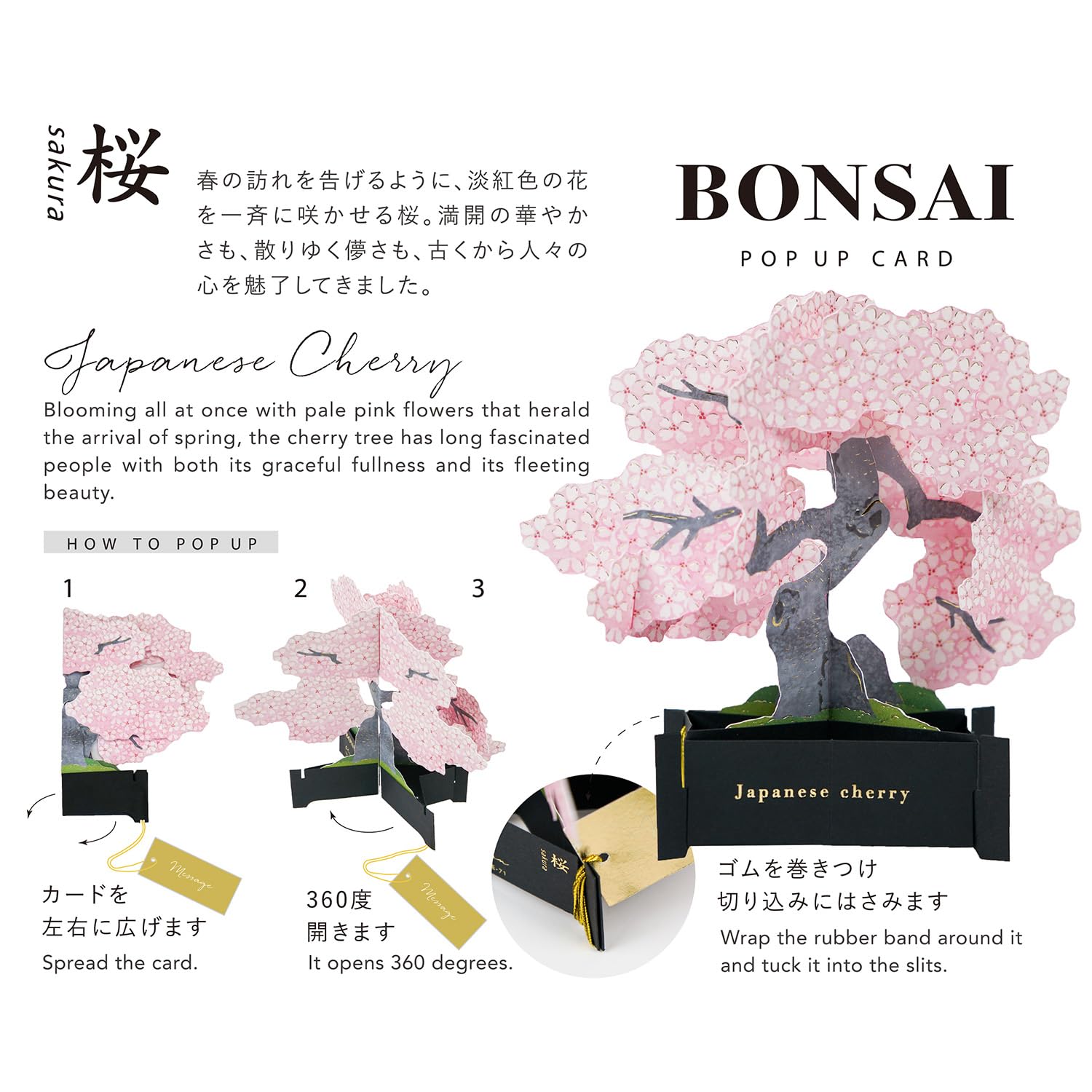 Amazon | グリーティングライフ BONSAI 盆栽 ポップアップ カード 桜