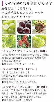 Amazon.co.jp: フルーツ ぶどう の宝石箱 (ヴェレゾンスクエア