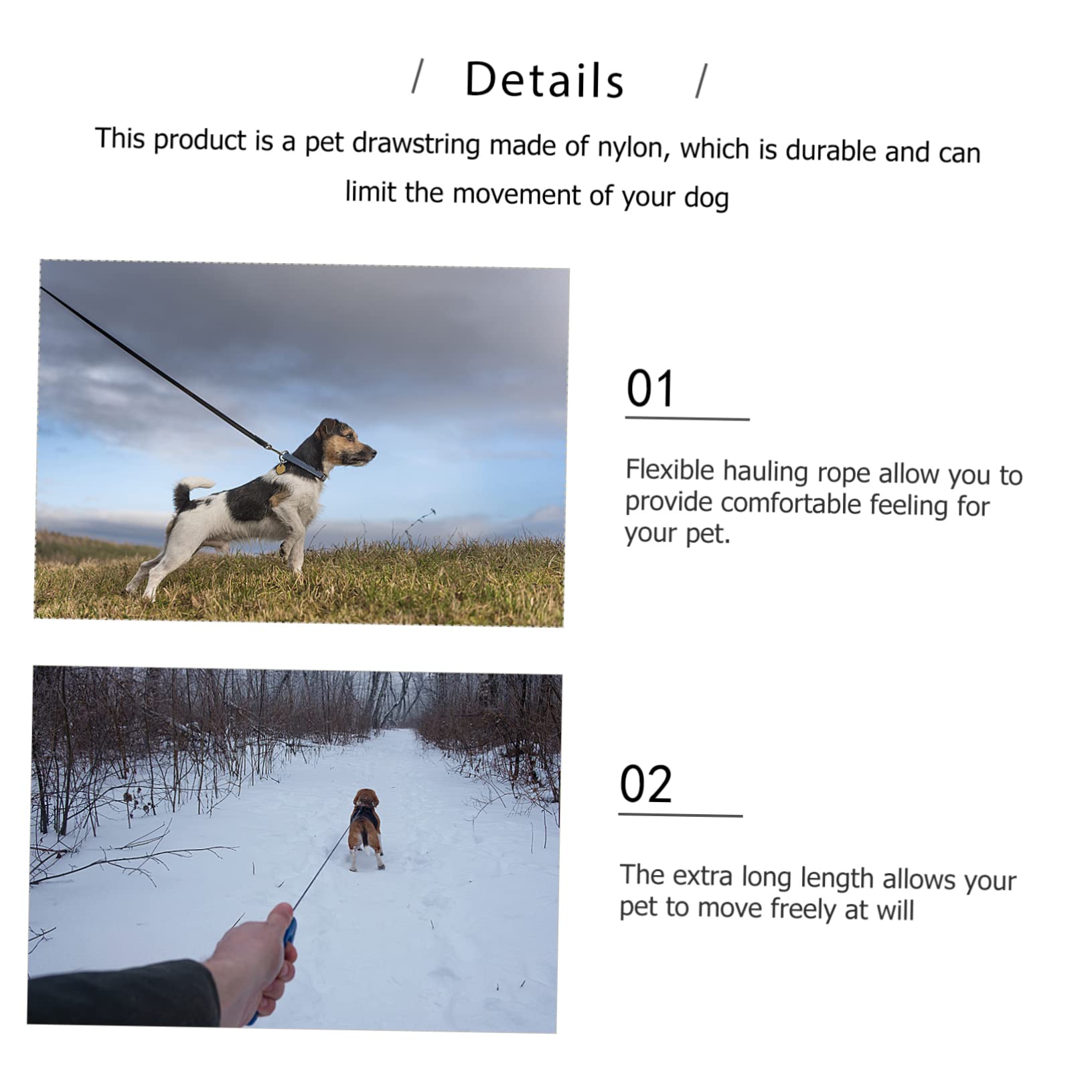 TOYANDONA Guinzaglio Per Cani Da Metri Corda Da Trazione Per Passeggiate Guinzaglio Resistente Per Animali Domestici Corda Da Addestramento Per Camminare