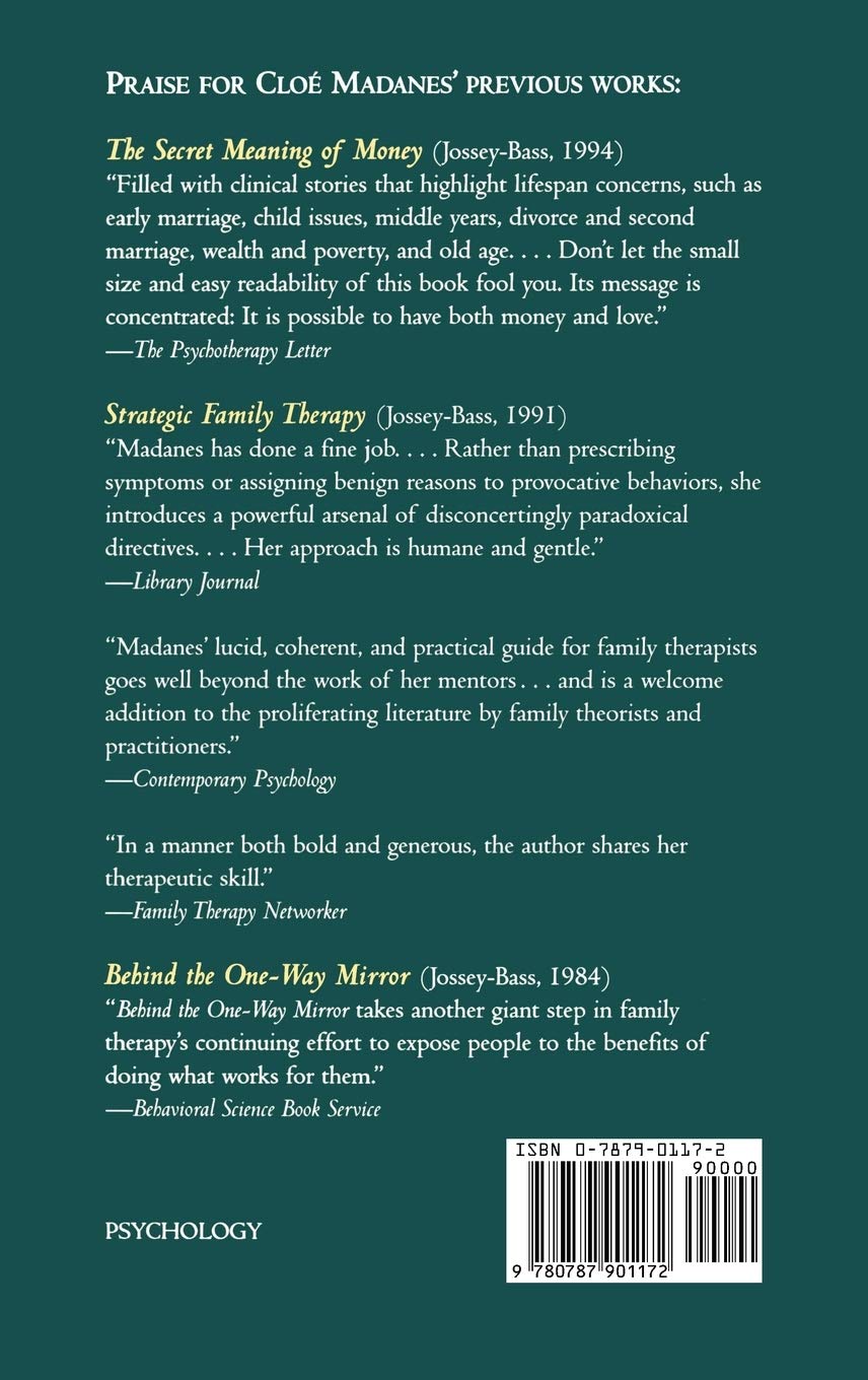 The Violence of Men: New Techniques for Working with Abusive Families: A Therapy of Social Action (Jossey-Bass Social and Behavioral Sciences)