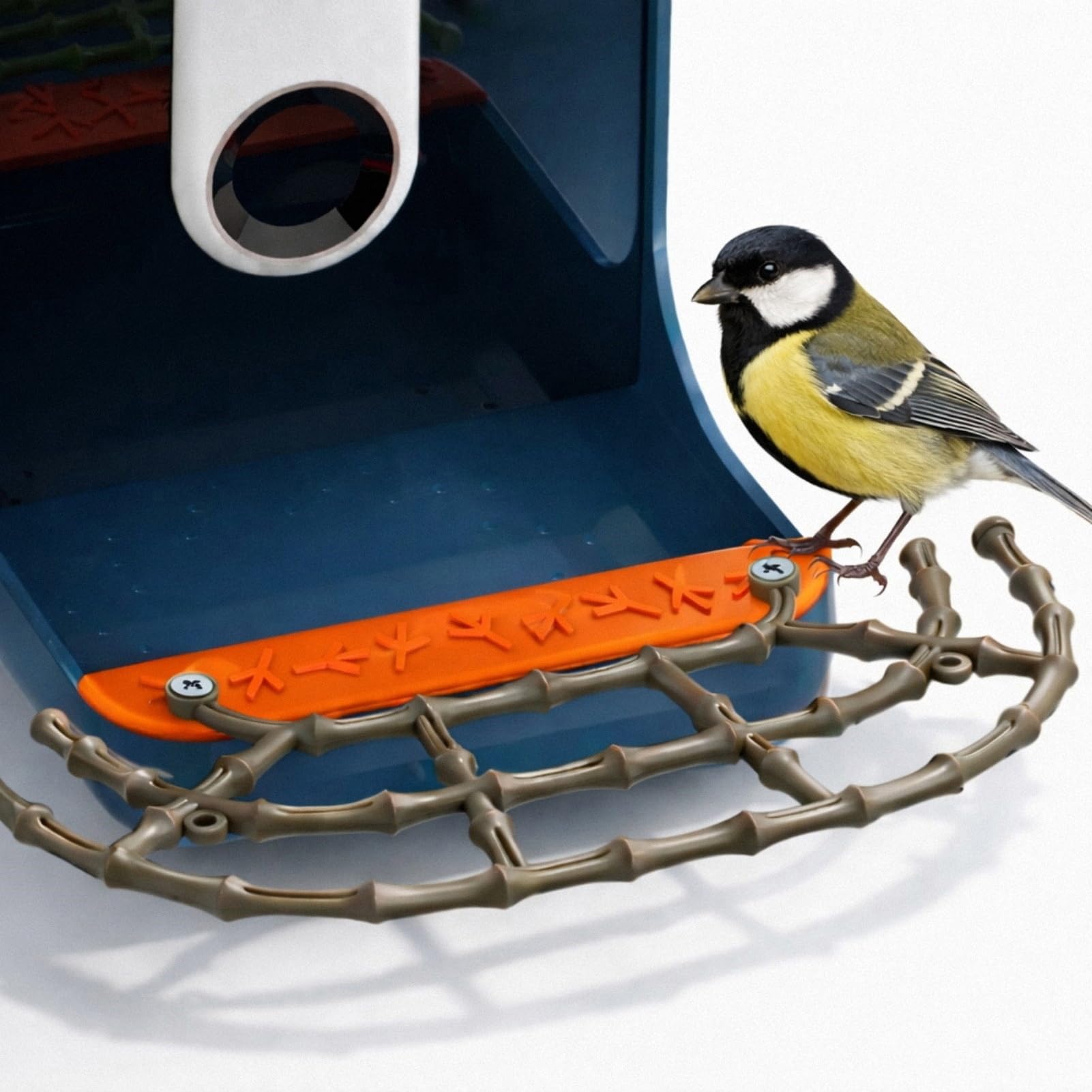 Perchoir en bambou Bird Buddy : espace d'atterrissage supplémentaire unique