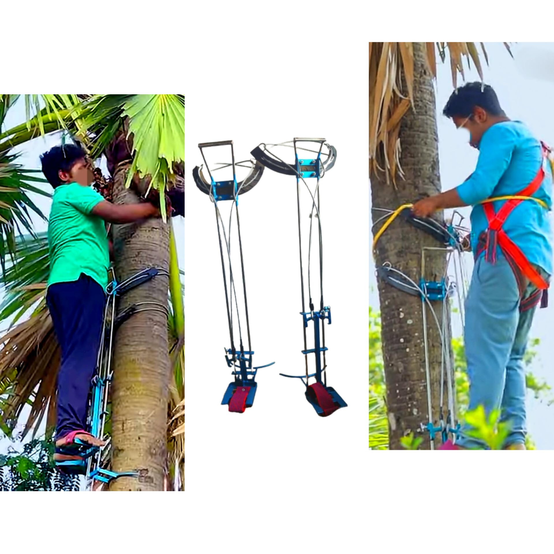 Heavy Duty Palmyra Tree Climbing Machine - Multi Tree Climber - Toddy Tree Climbing - Panai maram erum karuvi -Palm Tree Climbing with Full Body Safety belt-100% Safe-picture-12