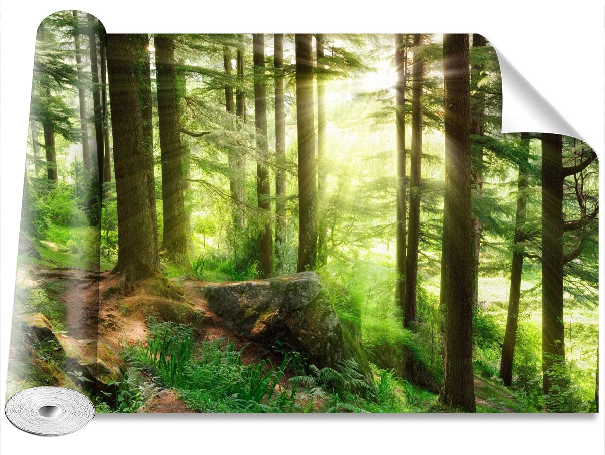 Papier peint forêt brumeuse Tulup grand format haut de gamme