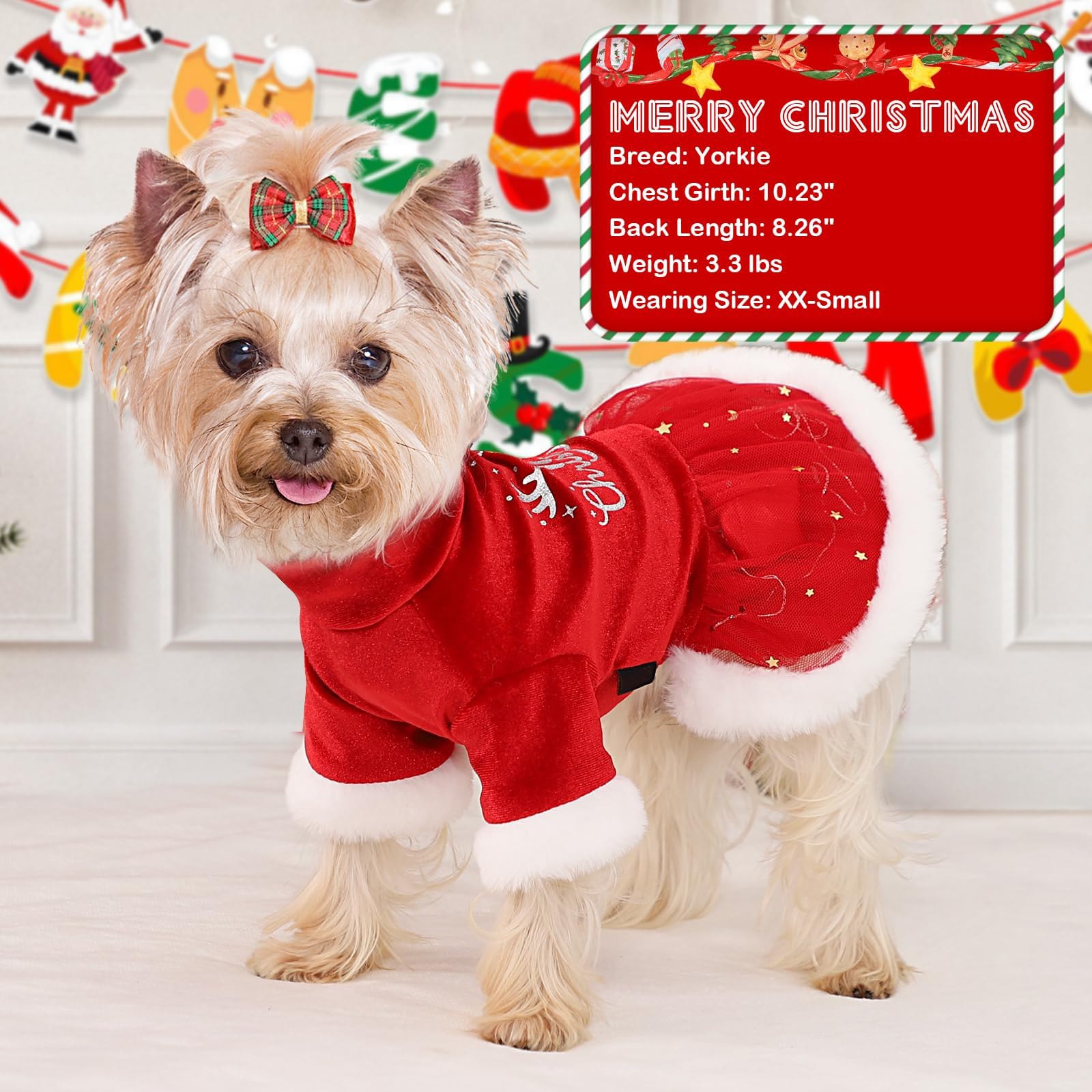 christmas dresses for little dogs Dog Dress, Dog Christmas Dress, Cat Dress, Dog Wedding Dress, Dog Dresses for Small Dogs Girl, Girl Puppy Princess Tutu Dress with Leash Ring, Fashion Pet Dog Clothes for Birthday Wedding(M-Blue) -