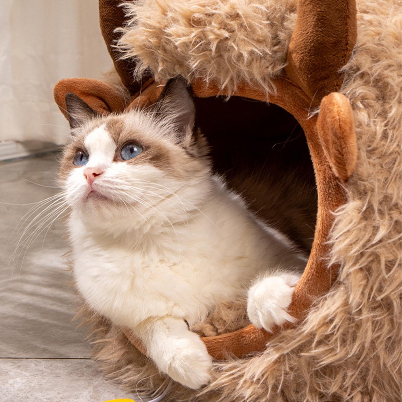 Letti per caverne per gatti da interno,Cave per gatti Calde cucce per gatti | per gatti semi-chiuso lavabile, per gatti da interno, per tenda per cani di piccola taglia