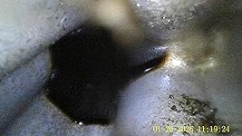 Review Image by MCMS