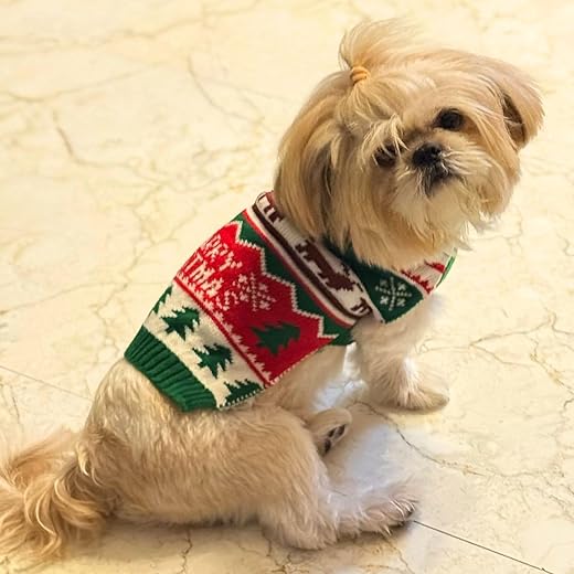 Lulala Christmas Dog Sweater - Green 12Inch