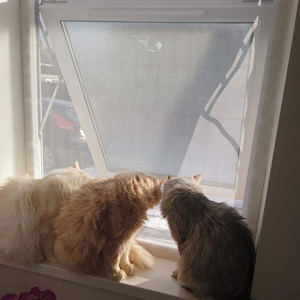 Flat Cats White Mesh / White Fixings Cat Window Screens, Window Protection For Cats, Pvc Coated Hook And Loop Screen, Keep Indoor Cats Safe, Single Pack, Selection Of Sizes (60Cm X 105Cm, White Mesh/White Fixings)
