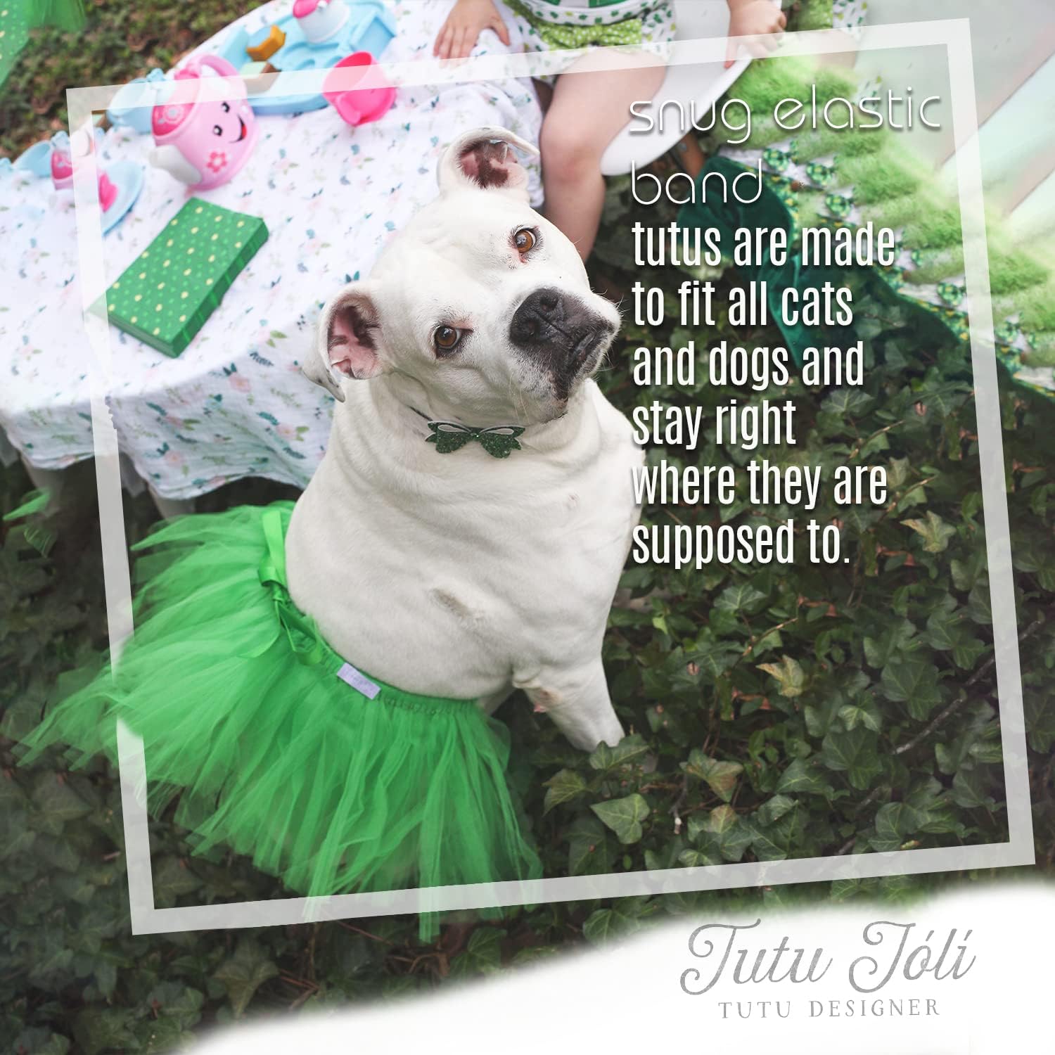 Green Dog Tutu Skirt | XS-XXXL | St. Patrick's Day Dog Tutu | Christmas Green Dog Tutu | Dog Costume Durable for Indoor and Outdoor Use