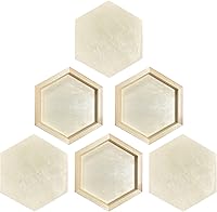 Vista 1 de Lienzo de madera hexagonal para manualidades, tableros de madera enmarcados para pintar (8 x 9 pulgadas, 6 unidades)