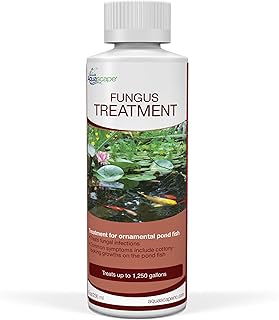 Aquascape 81040 Fish Fungus Liquid Treatment for Pond Fish, 8.5 Ounces