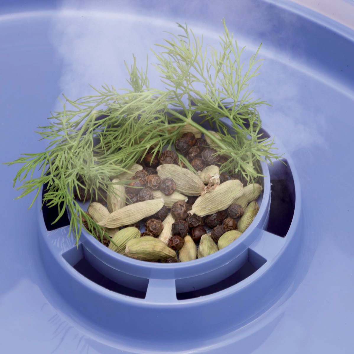 Aroma infuser with spices