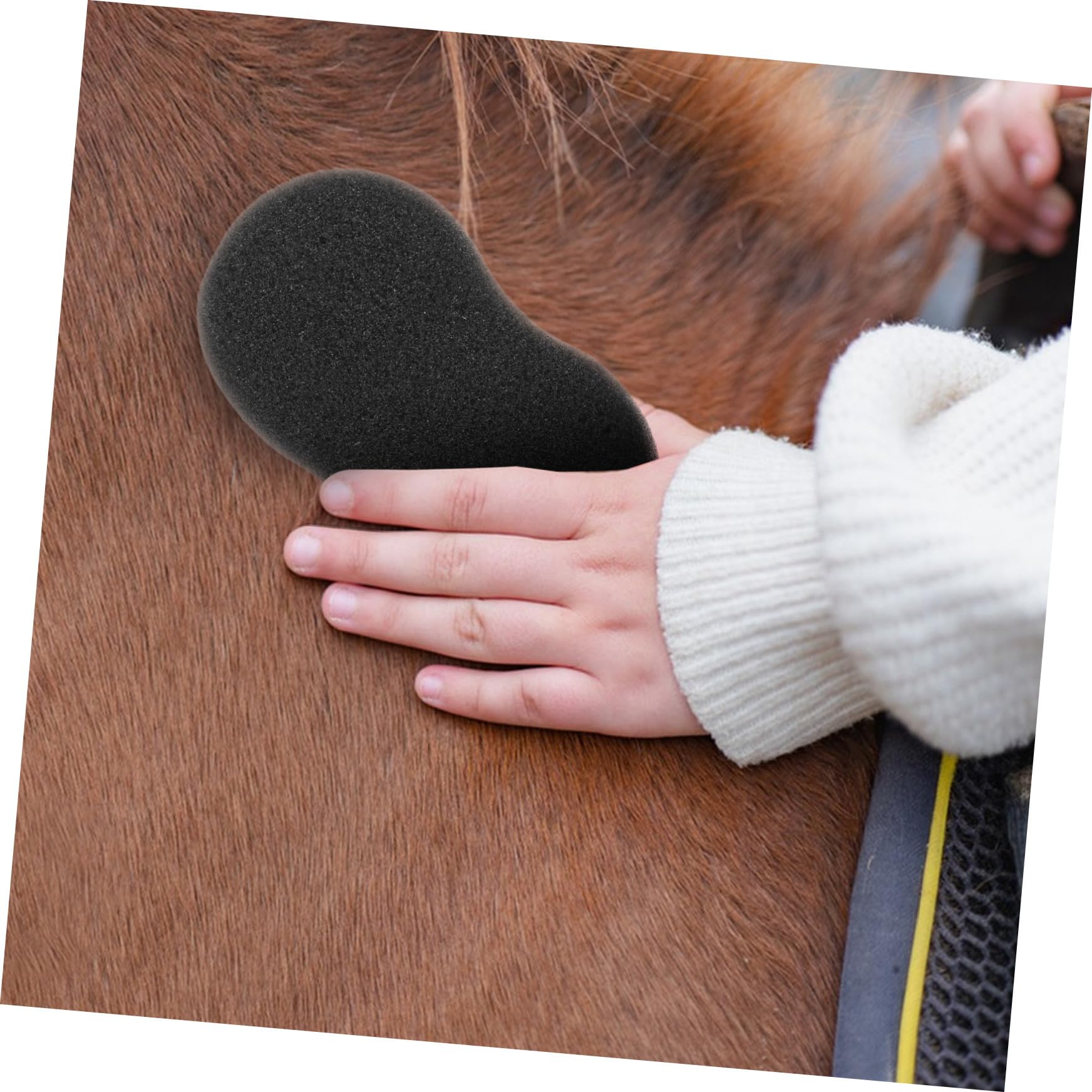 DOITOOL 5 Esponjas para Limpieza de Caballos y Ganado, Suaves y Resistentes, Adecuado para Baño Diario, Aseo Post- y Cuidado del Pelaje Equino