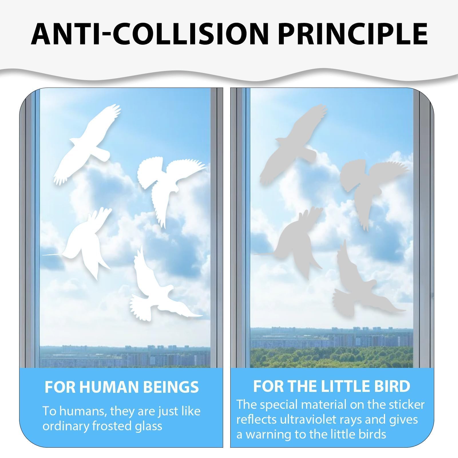 Autocollants Anti-Collision - 16 Oiseaux Blancs Anti-Collision pour Vitres, Adhésifs Électrostatiques Réutilisables - Protection Oiseaux et Décoration Salon/Chambre