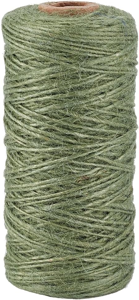 328 Feet/100M 1mm Jute Twine String Garden Rope Jute Cord 1 Ply Sea Green Craft Jewelry Beading Cord Thread for Bracelets Braiding Gift Wrapping Decoration Gardening Climbing Plant Crafts